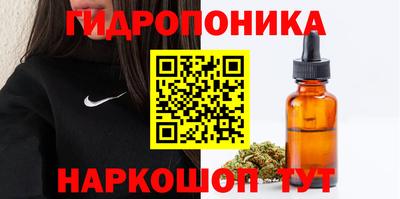 хмурый Кимры