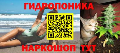 амфетамин Кингисепп