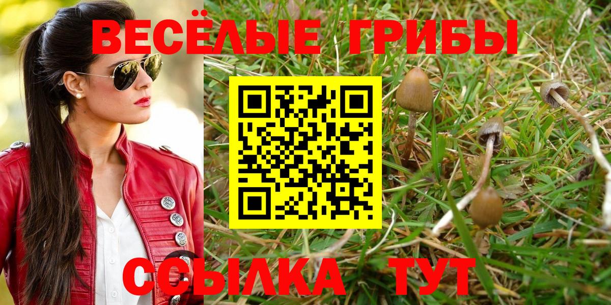 Галлюциногенные грибы Psilocybe  Вход с VPN  хочу наркоту  Бирск  Галлюциногенные грибы мицелий 